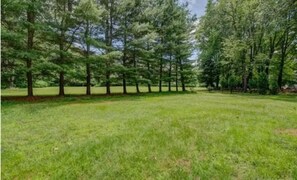 Miscellaneous - A Home Away From Home In East Hartford! (East Hartford)