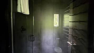 Secadora de cabello, toallas, jabón, shampoo