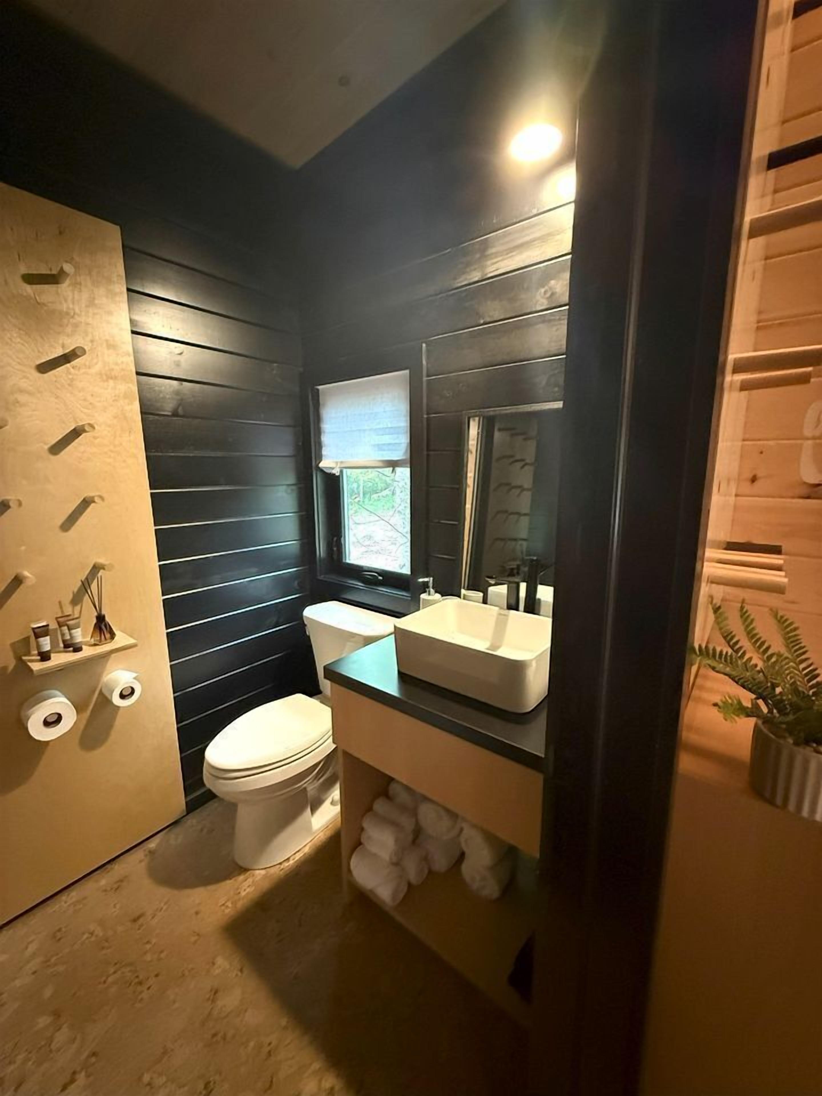 Hair dryer, towels, soap, shampoo