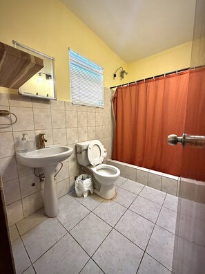 Een badkamer met een wastafel, toilet en douchegordijn.