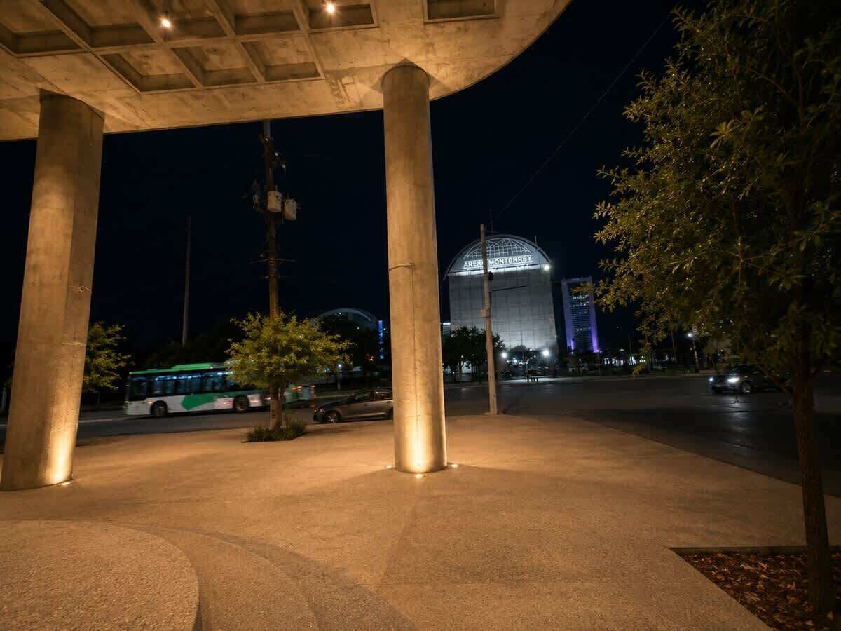 Een nachtelijk stadsbeeld met een bus, een grote verlichte koepelstructuur en een boom.