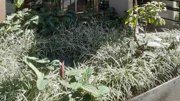 Un edificio moderno con grandes ventanales, una entrada visible y un jardín bien cuidado.
