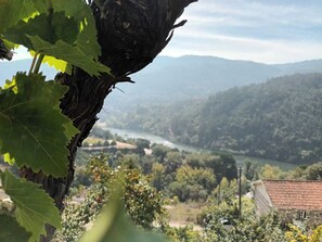 Miscellaneous - Quinta do Olival -Douro Valley (Sande)