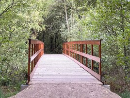 Uma ponte de madeira em uma área arborizada.
