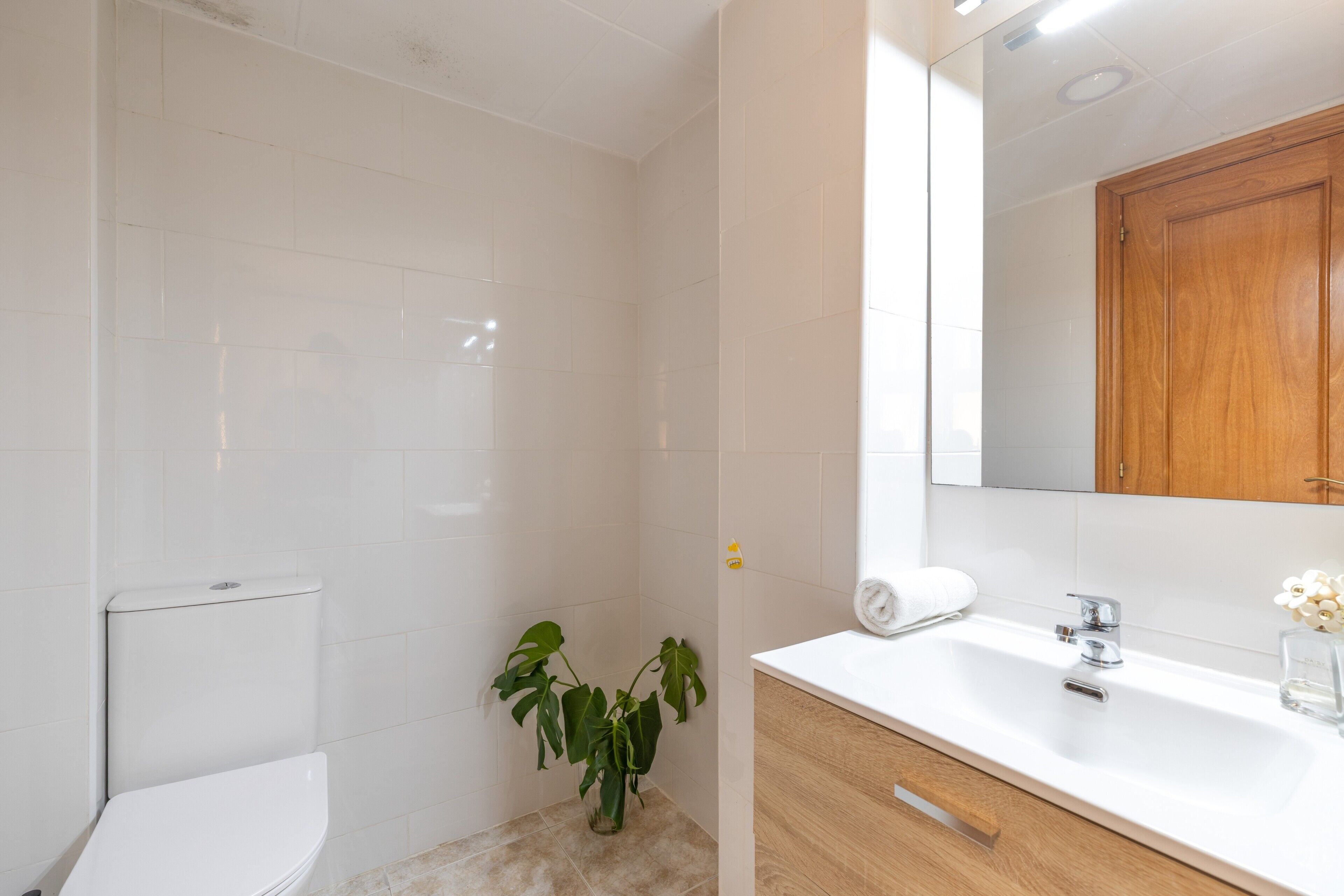 A bathroom with a toilet, sink, mirror, and a potted plant.