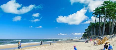 A beach with people walking and playing, clear skies, and trees in the background.