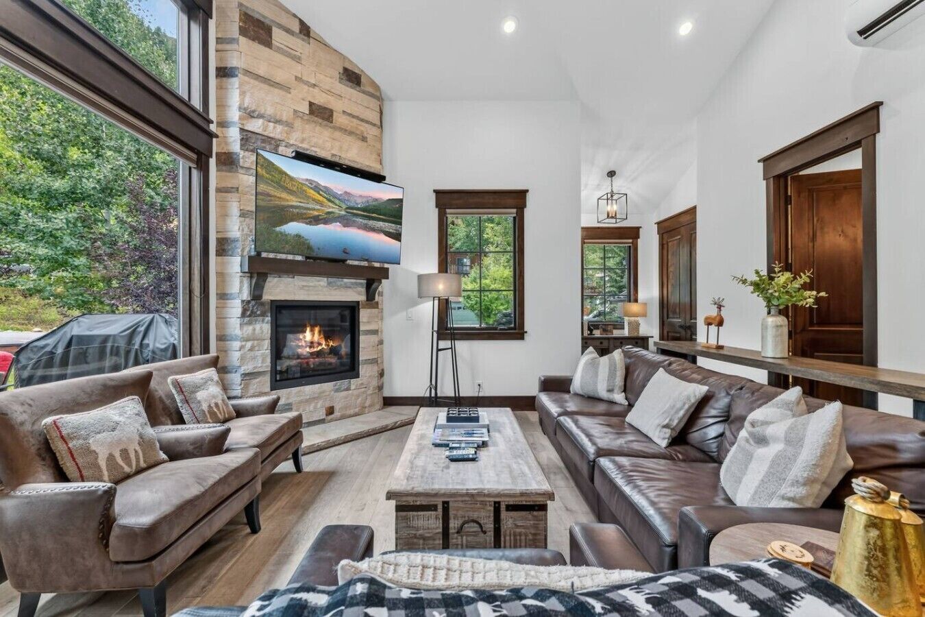 TV, fireplace