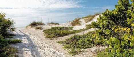 Tæt på stranden