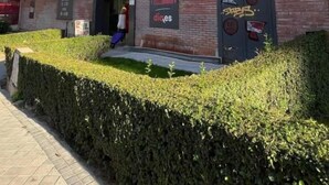 Un edifici de diverses plantes amb entrada visible, un rètol de restaurant i una tanca al costat del passeig.
