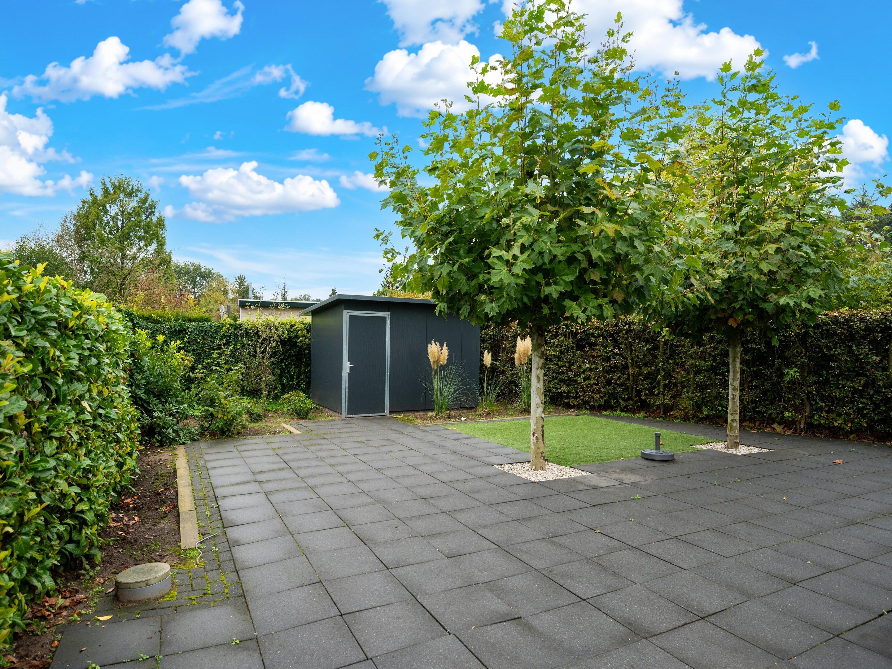A paved outdoor area with a small shed, a tree, and a hedge.