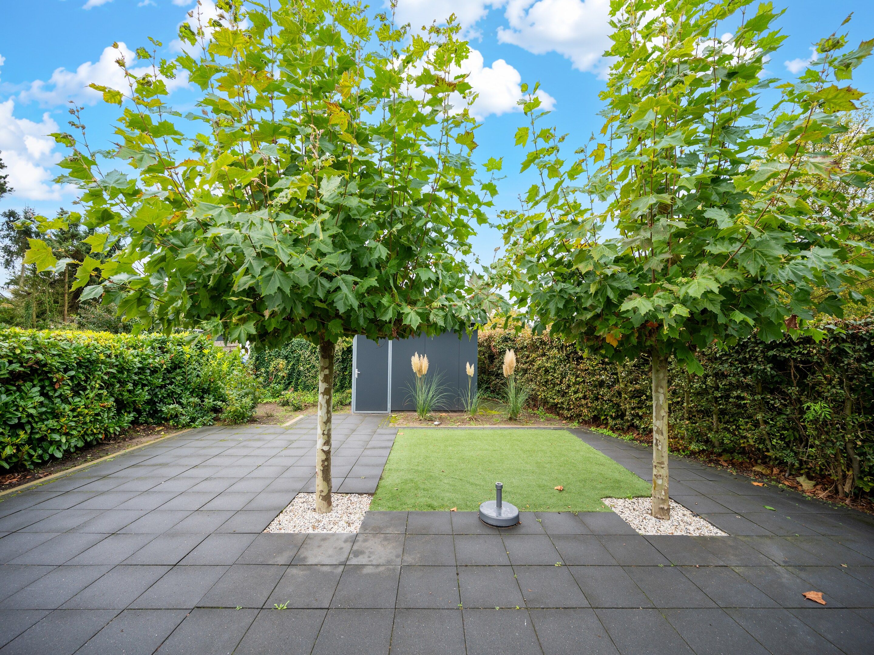 A paved courtyard with two trees, a hedge, and a small lawn area.