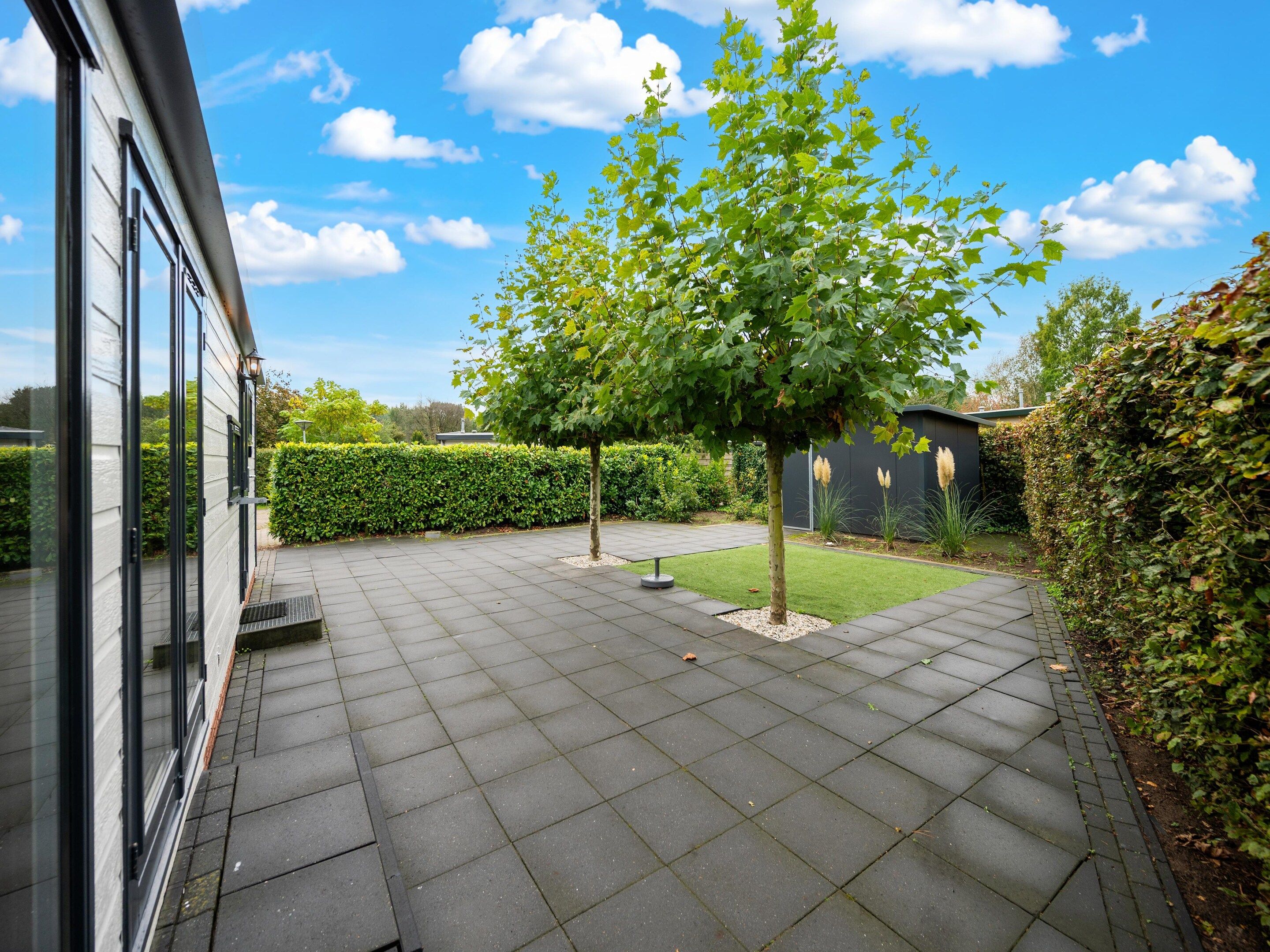 A paved courtyard with a tree, a hedge, and a building with large windows.