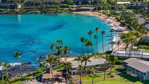 Un resort con piscina, palmeras y una playa.