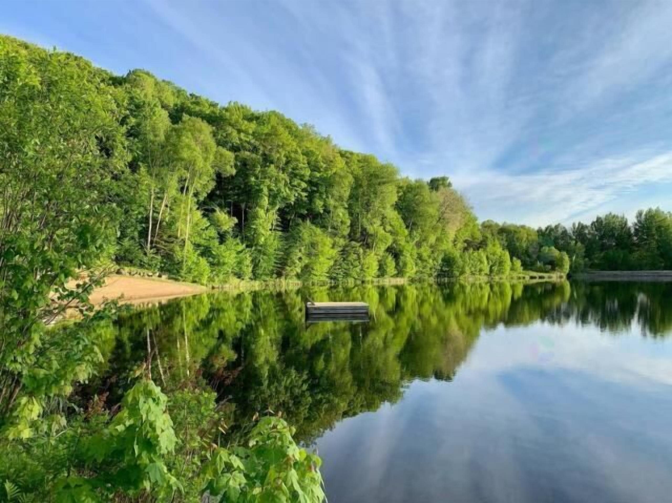 Un lago tranquilo con abundante vegetación y un muelle de madera.