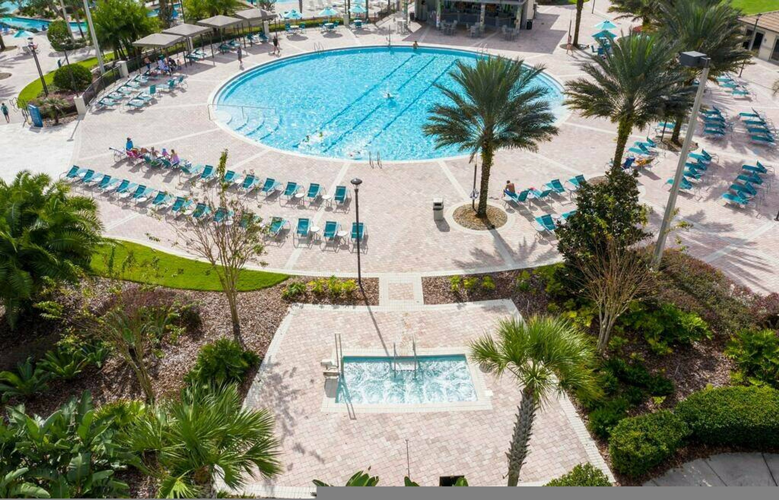 A large outdoor swimming pool with multiple lanes, surrounded by lounge chairs and palm trees.