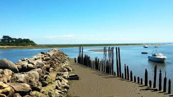 Ranta