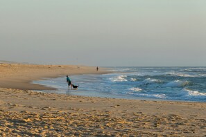 Plage à proximité