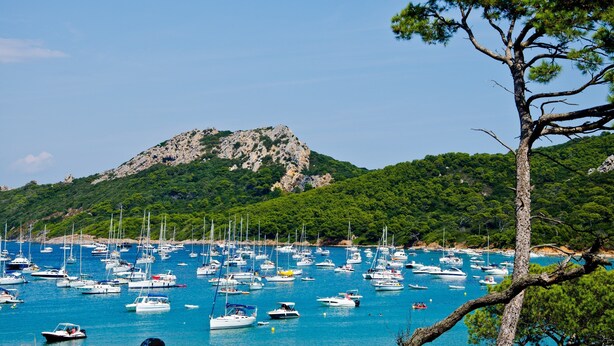 Ein Yachthafen mit zahlreichen angossenen Booten, umgeben von grünen Hügeln und blauem Himmel.