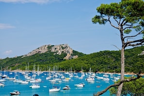 Un port de plaisance où de nombreux bateaux sont amarrés, entouré de collines verdoyantes et sous un ciel dégagé.