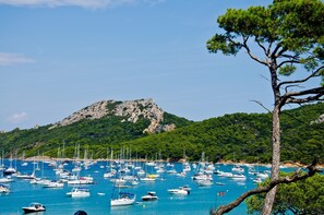 Marina com vários barcos atracados, rodeada por colinas verdes e um céu limpo.