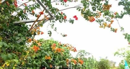 Hideaway Village Homestay