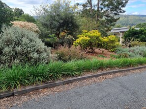 Property grounds - Hilltop hinterland heaven. 
2 min drive to Canungra’s Main Str. (Canungra)