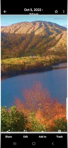 Beautiful little cabin located on the cabot trail over looking ski cape smokey