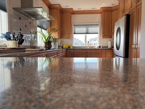 Eine Küche mit Holzschränken, einem Edelstahlkühlschrank und einer Arbeitsplatte aus Granit.