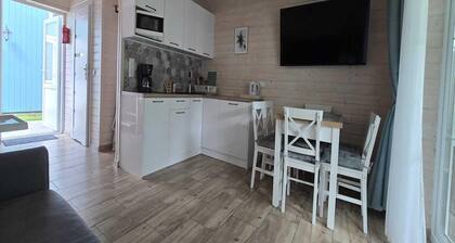 Comfortable Houses With Terraces