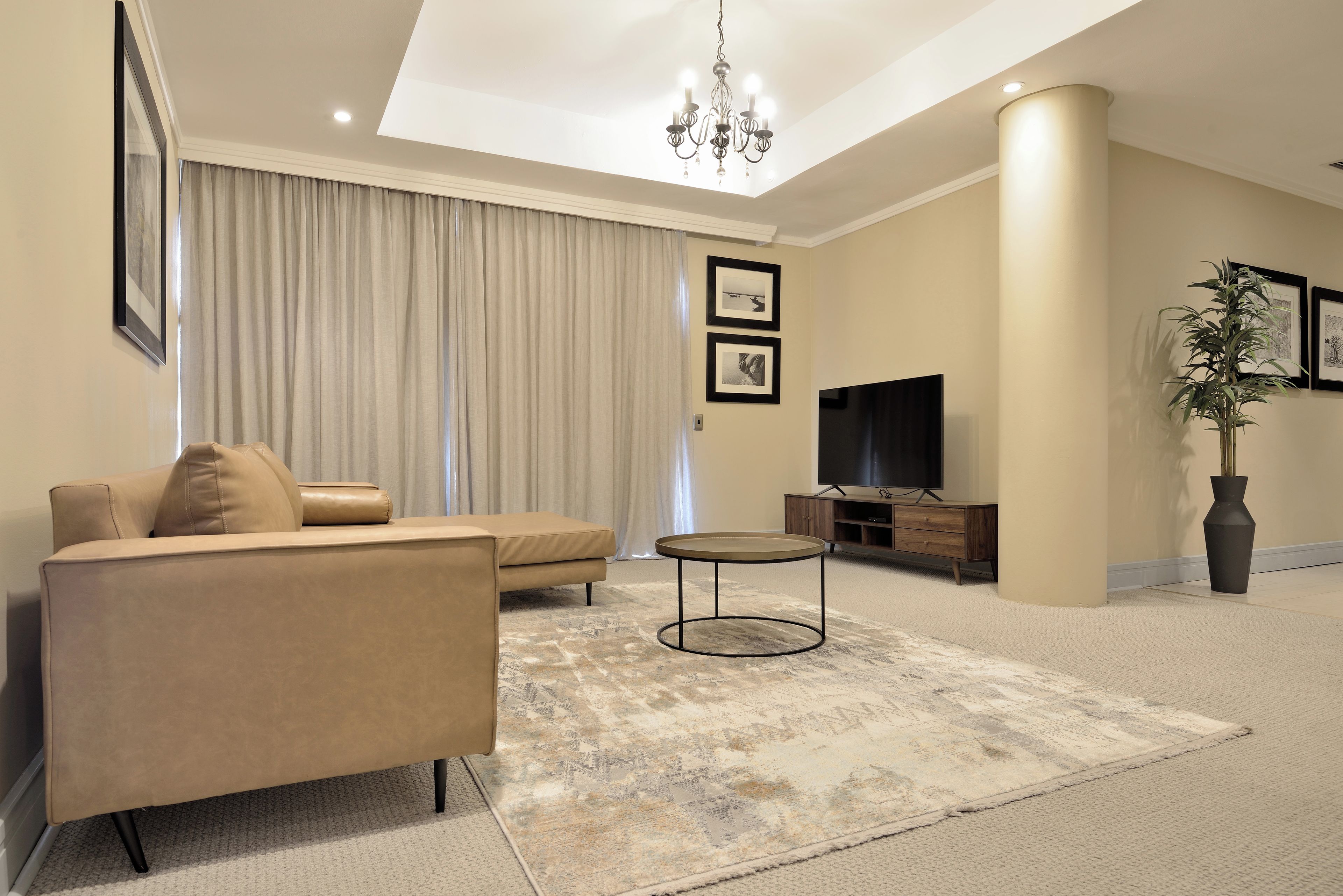 A modern living room with a sofa, a coffee table, a flat-screen TV, and a large plant.