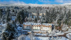 Un hôtel à plusieurs étages, entouré d’une forêt dense et surplombant un paysage enneigé.