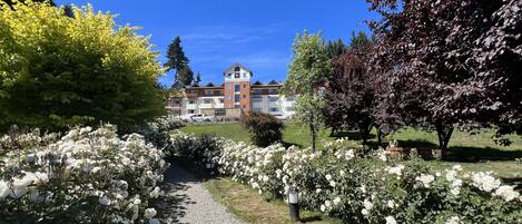 A hotel with a central building, surrounded by a garden with white flowers and trees.