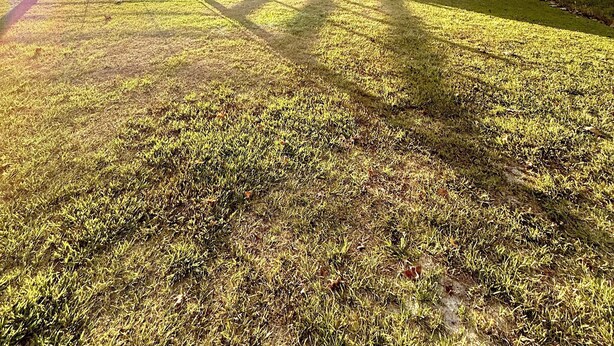 A barn with a fenced pasture, a clear sky, and sunlight casting shadows.