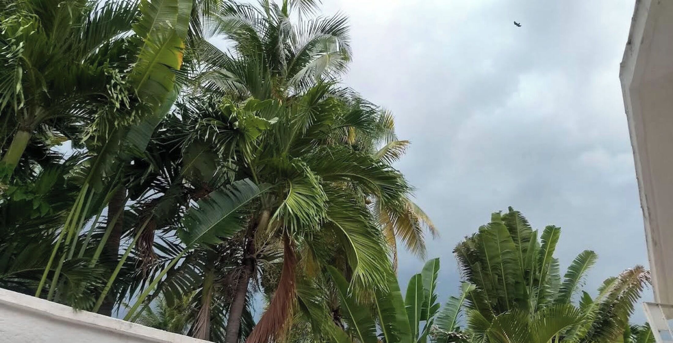 Phòng đôi, quang cảnh một góc biển | Khuôn viên nơi lưu trú