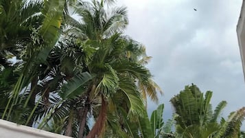 Phòng đôi, quang cảnh một góc biển | Khuôn viên nơi lưu trú
