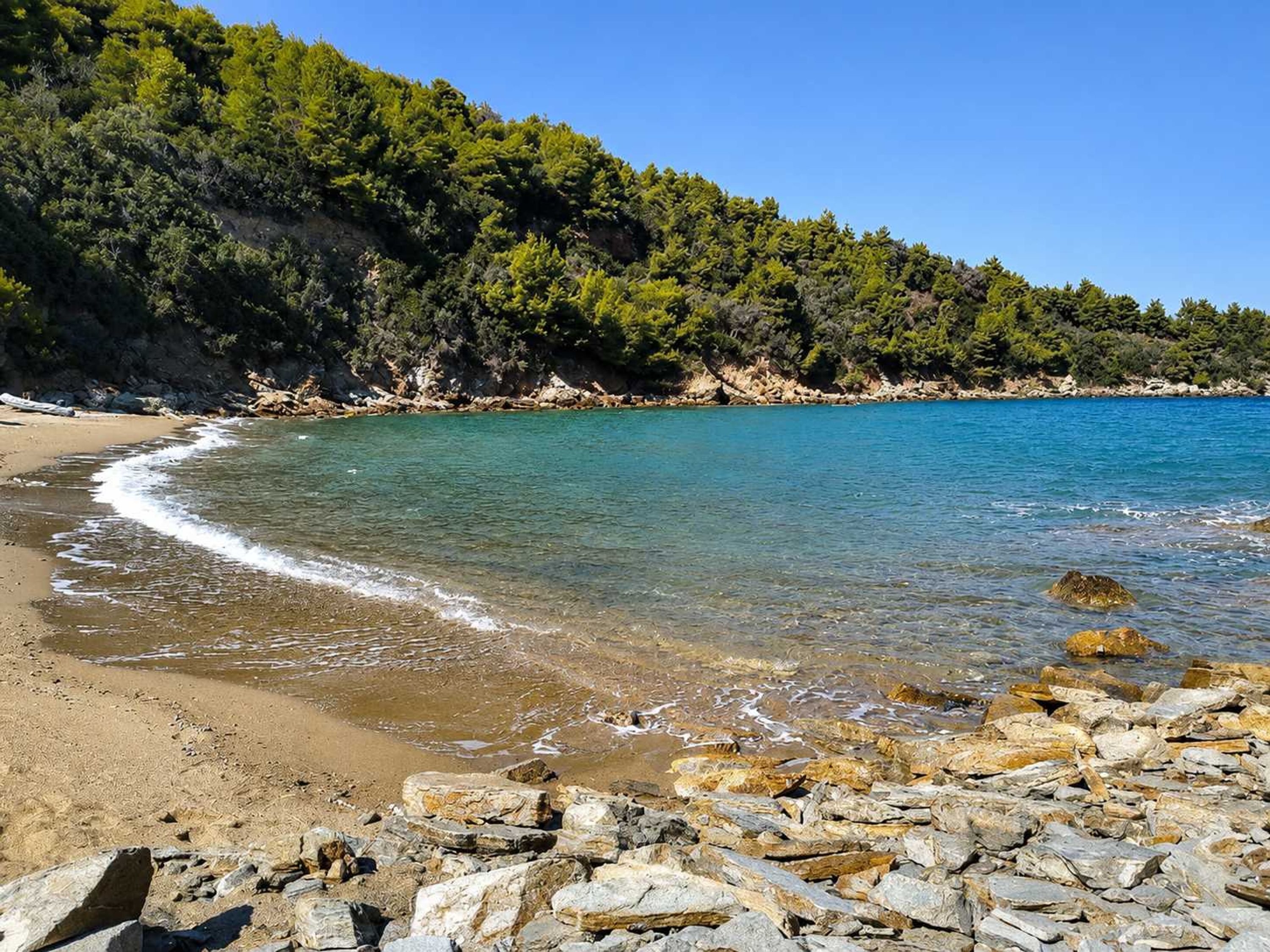 A beach with clear water, rocky foreground, and a forested hillside.