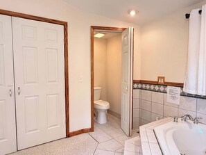 A bathroom with a toilet, a bathtub, and a shower. - Charming Wine Country Lodge with Scenic Views (Penn Yan)