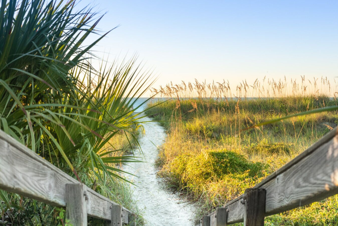 A wooden pathway leading through a grassy area with a view of the ocean.