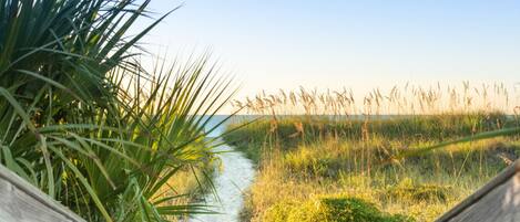 A wooden pathway leading through a grassy area with a view of the ocean.