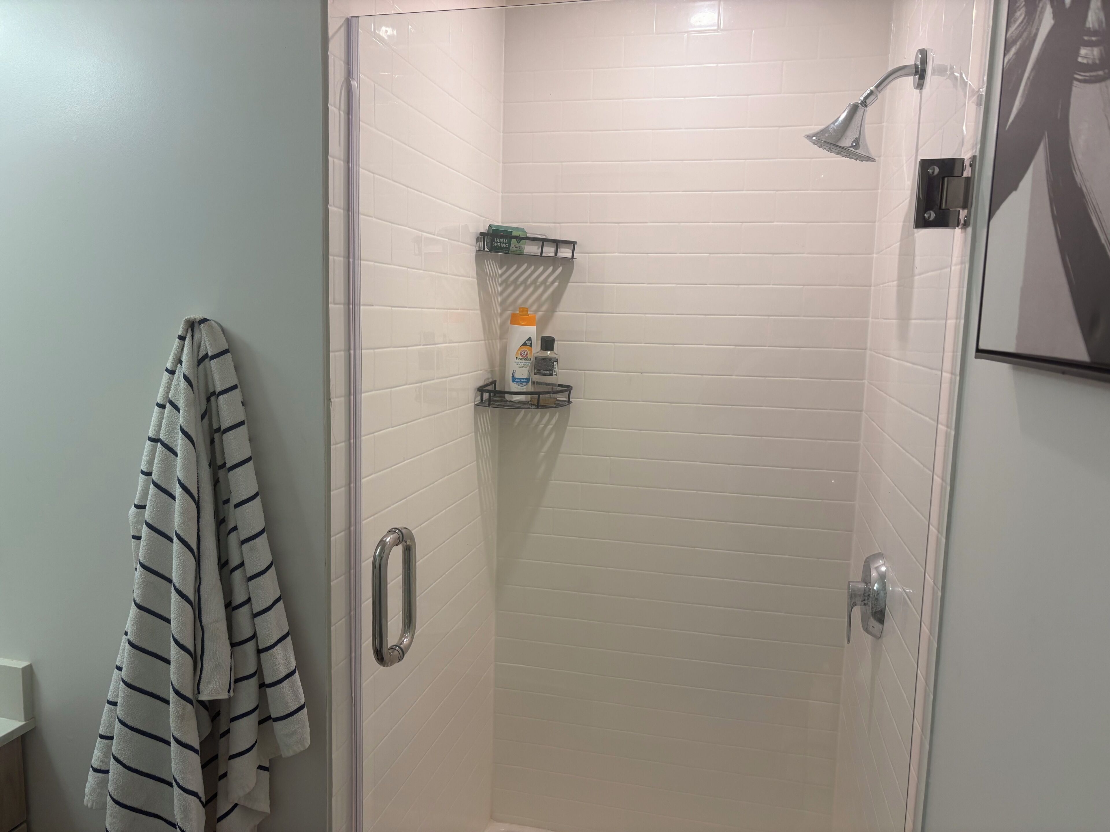 Hair dryer, towels, soap, toilet paper
