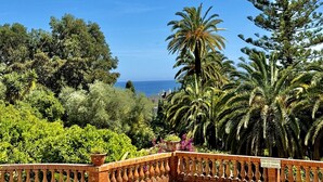 Ein Garten mit verschiedenen Bäumen und freiem Blick auf den Ozean.