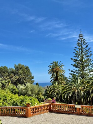 Ein Garten mit verschiedenen Bäumen und freiem Blick auf den Ozean.