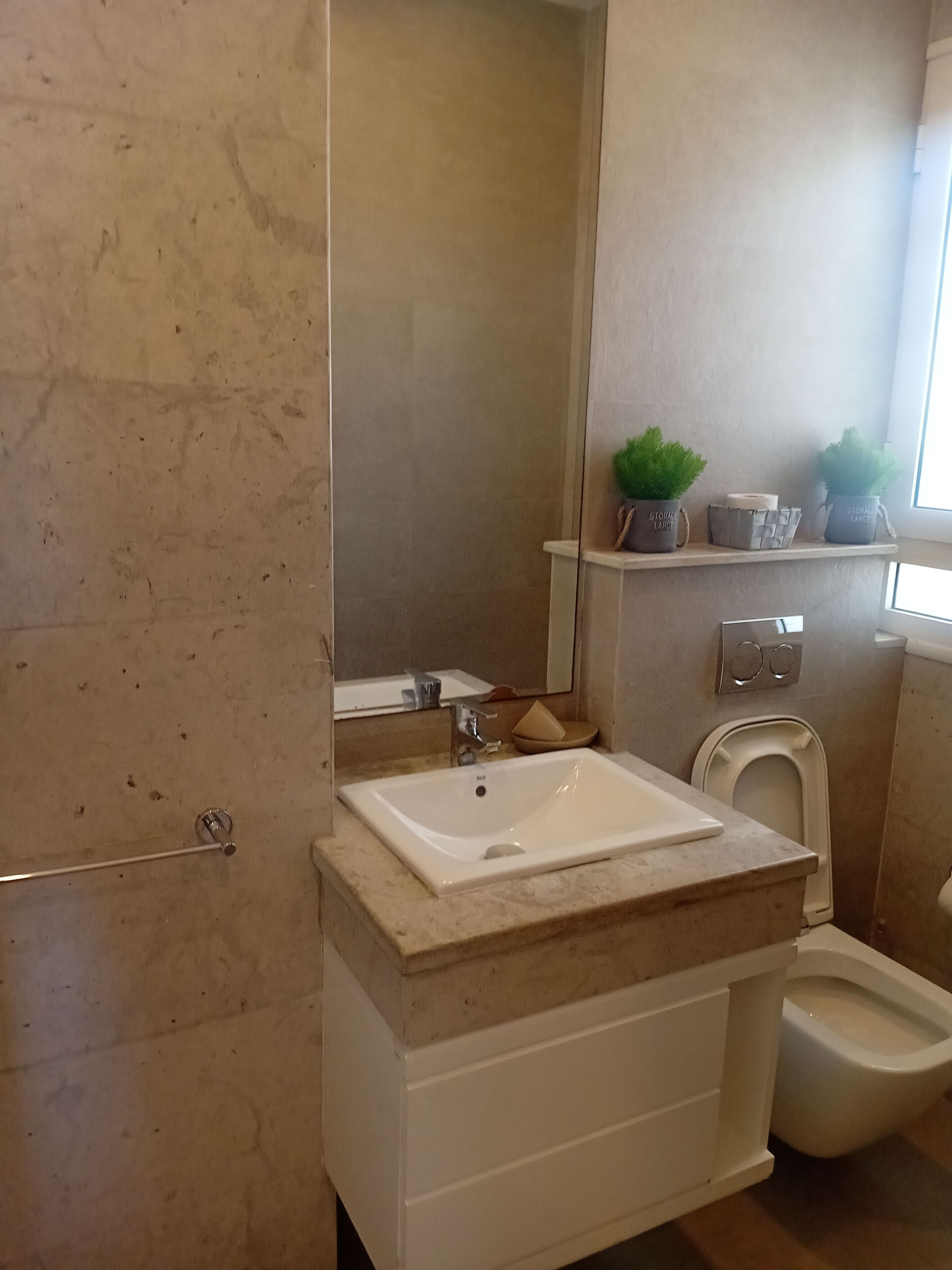 A bathroom with a white sink, a bidet, a mirror, and a shelf with potted plants.