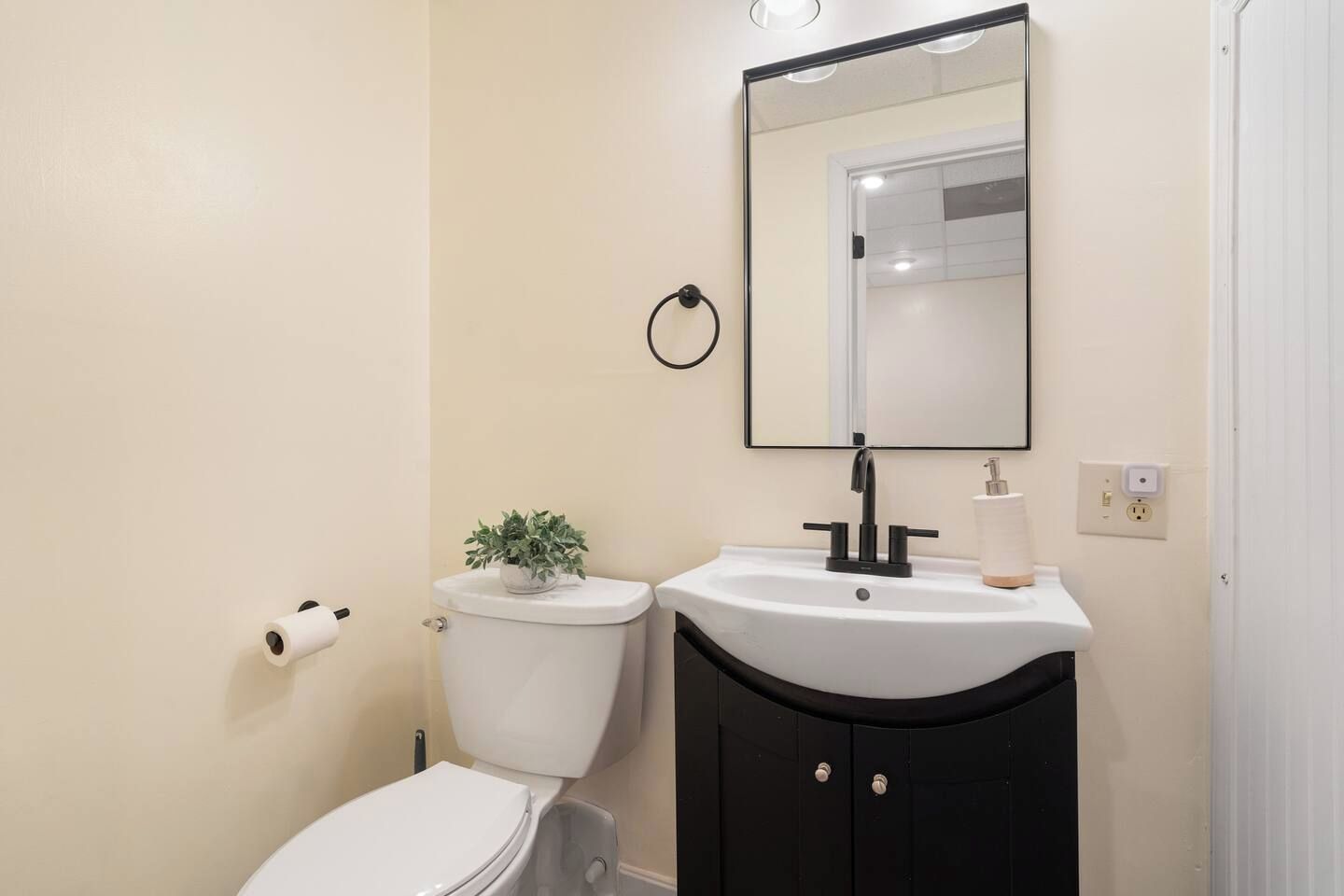 A bathroom with a toilet, sink, mirror, and a small potted plant.