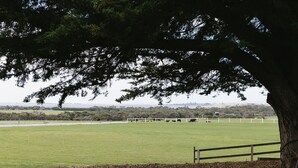 A grassy field with a white fence, a large tree, and a distant view of a city skyline. - Suma Park Estate (Marcus Hill)