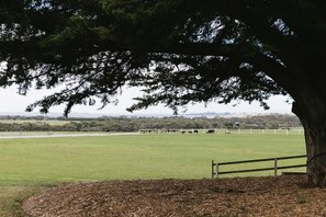 Property grounds - Suma Park Estate (Marcus Hill)