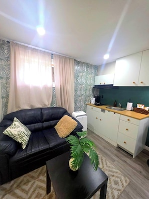 A compact living space with a sofa, a small table, a potted plant, a kitchenette, and a window with curtains.