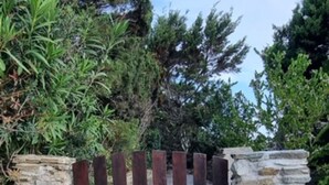 Un muro de piedra con una verja de madera, rodeado de vegetación.