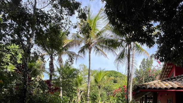 A rectangular swimming pool surrounded by lush greenery, with a building featuring a tiled roof and outdoor seating area. - Mio Trancoso (Porto Seguro)