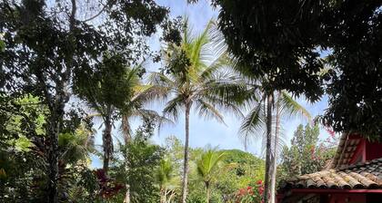 Mio Trancoso